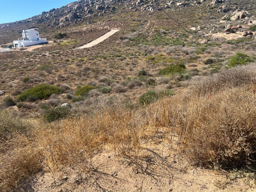 Commercial Property for Sale in Steenbergs Cove Western Cape